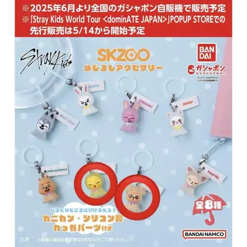 skzoo 메지루시 액세서리 BbokAri 포가리 승민