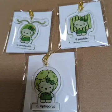 오사카 엑스포 한정판 키티 Algae 아크릴 키링 세트