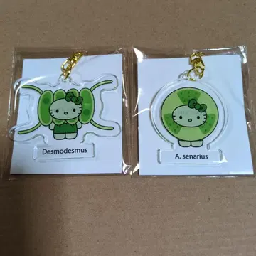 오사카 엑스포 한정판 키티 Algae 아크릴 키링 세트