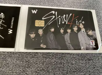 wowpass 콜라보 straykids 올 1장
