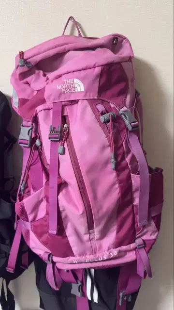 THE NORTH FACE W TELLUS 30 백팩