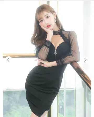 초커 넥 시어 슬리브 타이트 미니 드레스