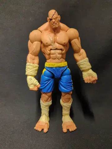 SOTA TOYS 스트리트 파이터 15th ROUND 1 사가트