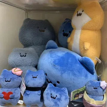 문구와 함께 고양이 묶음 판매