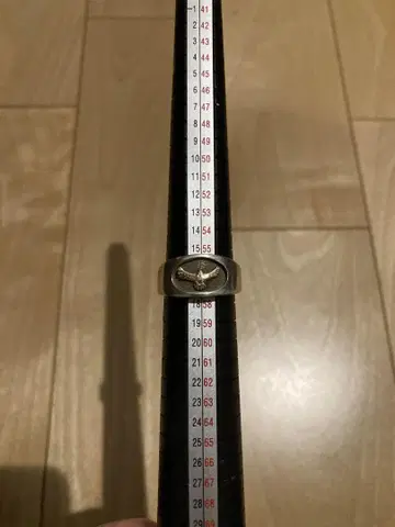 독수리 반지 약 16호