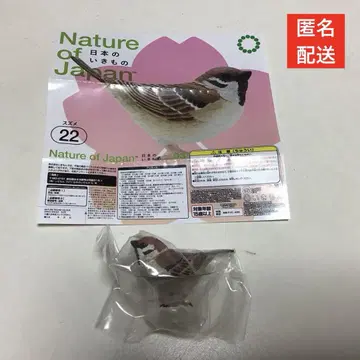일본의 생물 03 네이처 테크니컬러 참새 1개