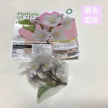 NATURE OF JAPAN 일본의 생물 03 소메이요시노 1개