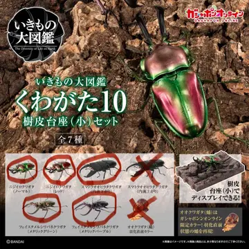 온라인판 생물대도감 사슴벌레 10 5종류