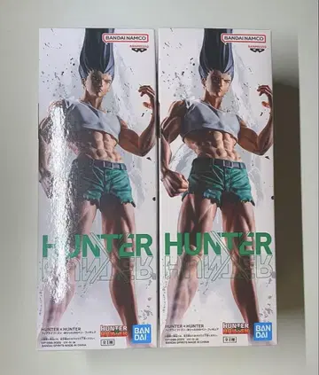 HUNTER x HUNTER 곤 프릭스 피규어