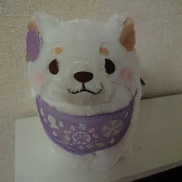 충견 모치시바 여아용 봉제 인형 4종 세트