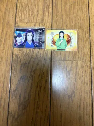 약사의 혼잣말  마그넷 진시 마오마오