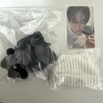 THE BOYZ 주영 봉제 인형 도보이즈