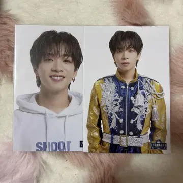 BUDDiiS SHOOT 모리 슈토 EBiDANmuseum 엽서