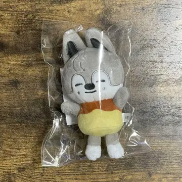 Stray Kids 울프짱 백참