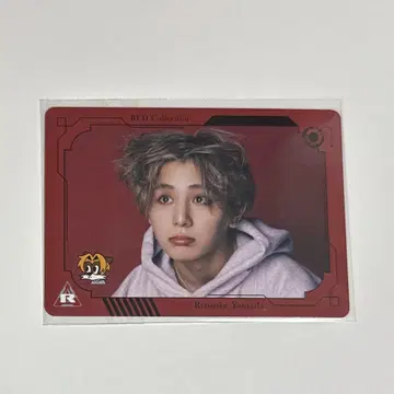 야마다 료스케 비주얼 카드