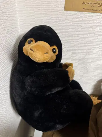 니플러 봉제 인형 블랙