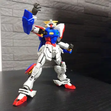 RG 샤이닝 건담 완제품
