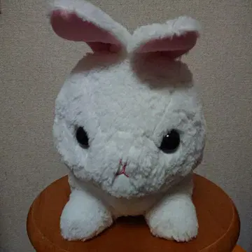 느긋한 토끼 봉제 인형 라비
