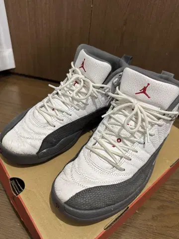 Air Jordan 12 화이트/그레이