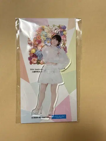 카미코쿠료 모에 안주루무 솔로 아크릴 키링 B 아크릴 스탠드 FSK
