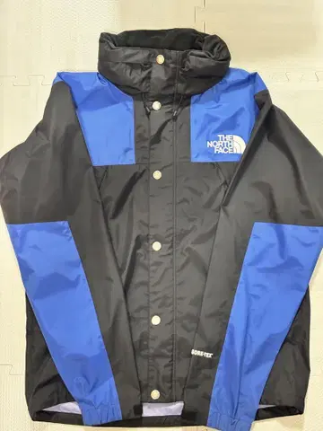 THE NORTH FACE GORE-TEX 레인텍스 L 사이즈