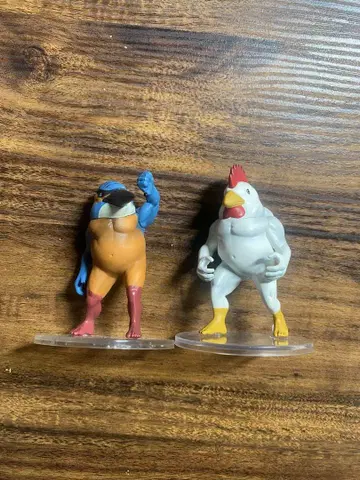가치무치 새, 닭, 물총새