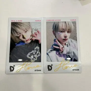 &TEAM D'PARTMENT 폴라로이드 하루아 HARUA