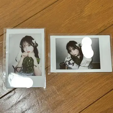 오가와 나나코 폴라로이드