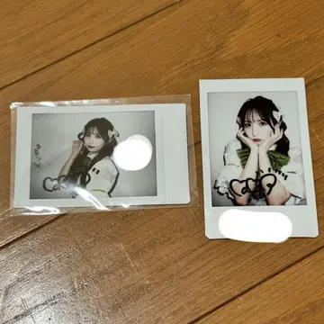 오가와 나나코 폴라로이드