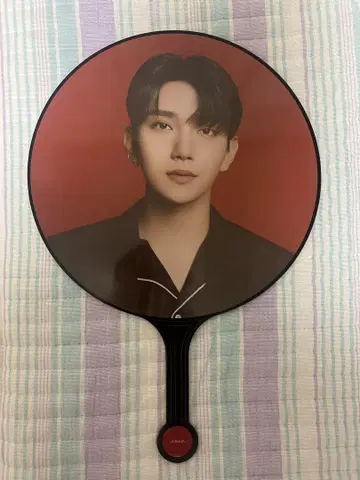 SEVENTEEN 조슈아 부채