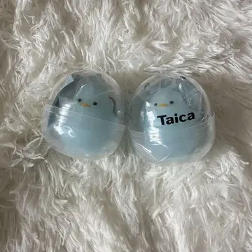 겔피요 시미즈 에스펄스 2개 세트