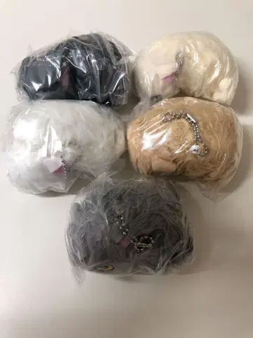 낯을 가리는 고양이 봉제 인형 컴플리트 가챠가챠