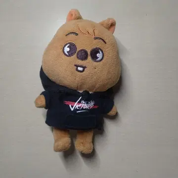 스키즈 한 skzoo