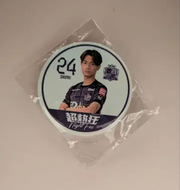 산프레체 히로시마 #24