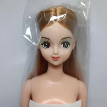 제니 프렌드 H 오타즈미 인형 리카짱 캐슬 센터 분할