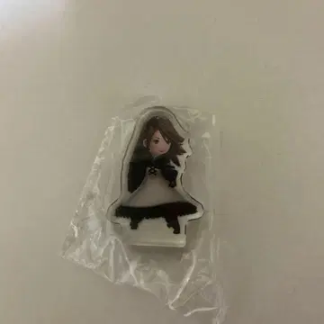 브레이블리 디폴트 아크릴 블록 애니에스