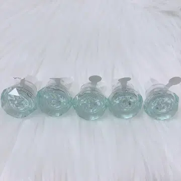 [나유타] 파라라이 링 라이트
