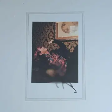 아라키 폴라로이드풍 컬렉션 사인
