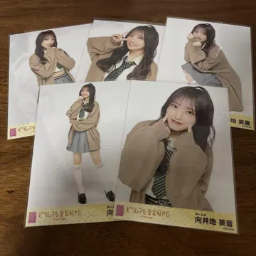 AKB48 무카이 미네 브로마이드