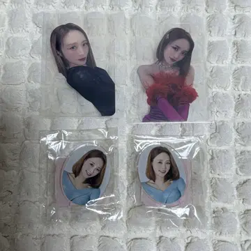 KARA 니콜 트레이딩 카드 아크릴 스탠드