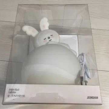 SEVENTEEN 정한 트램 라이트