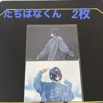 랜덤 브로마이드 STPREXPO 스니스테 타치바나군