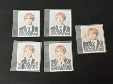 팬더 드래곤 파라곤 타이 가 증명 사진