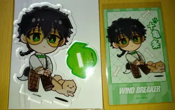 WIND BREAKER 프린세스 카페 개의 날 주가메조
