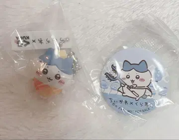 치이카와 (먼작귀) 쿠라스시 하치와레 키링 캔뱃지