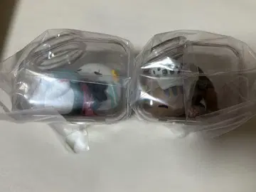 냥피스 잘 자요 로 조로