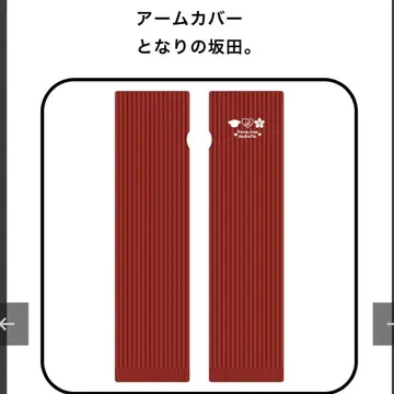 우라시마사카타센 Spring Tour 2023 암커버 토나리노 사카타.