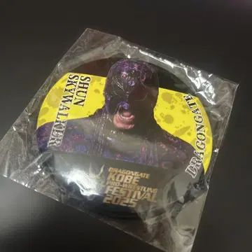 슌 스카이워커 배지 DRAGONGATE 2025 미개봉 새상품입니다