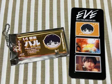 초특급 하루 EVE 티켓 키링 포토 그레이 부품 2세트