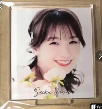 이노우에 세이카 미니 플레이트 후지 TV 아나운서